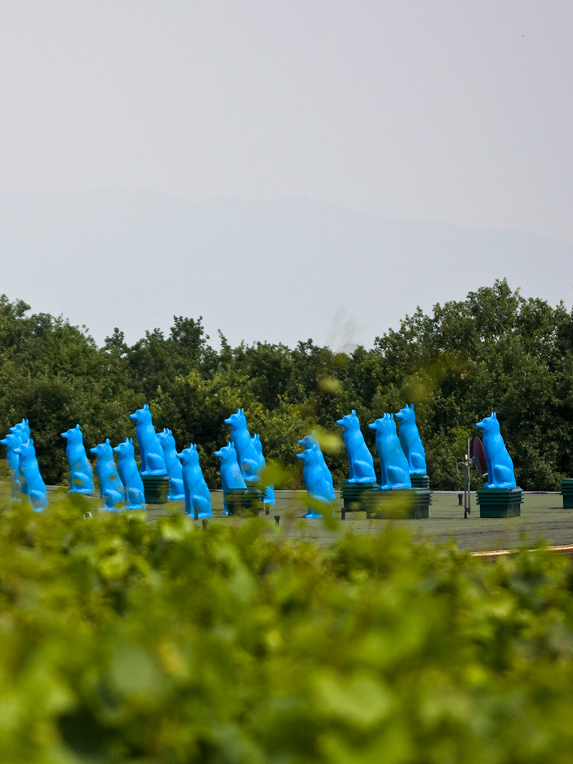 BLUE GUARDIANS